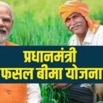 PM फसल बीमा योजना की आखिरी तारीख 31 दिसंबर, जानिए कितना प्रीमियम और कैसे करें आवेदन
