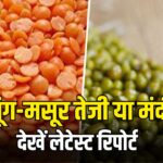 दाल बाजार रिपोर्ट ! मसूर गिरी, मूंग स्थिर, जाने बंदरगाह से दिल्ली तक कीमतों का पूरा हाल