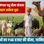 मुख्यमंत्री मंगला पशु बीमा योजना: दुधारू पशुओं का ₹40 हजार फ्री बीमा, जानिए पूरी डिटेल