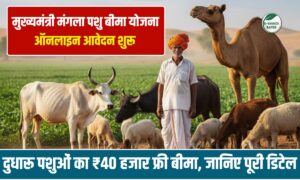 मुख्यमंत्री मंगला पशु बीमा योजना: दुधारू पशुओं का ₹40 हजार फ्री बीमा, जानिए पूरी डिटेल