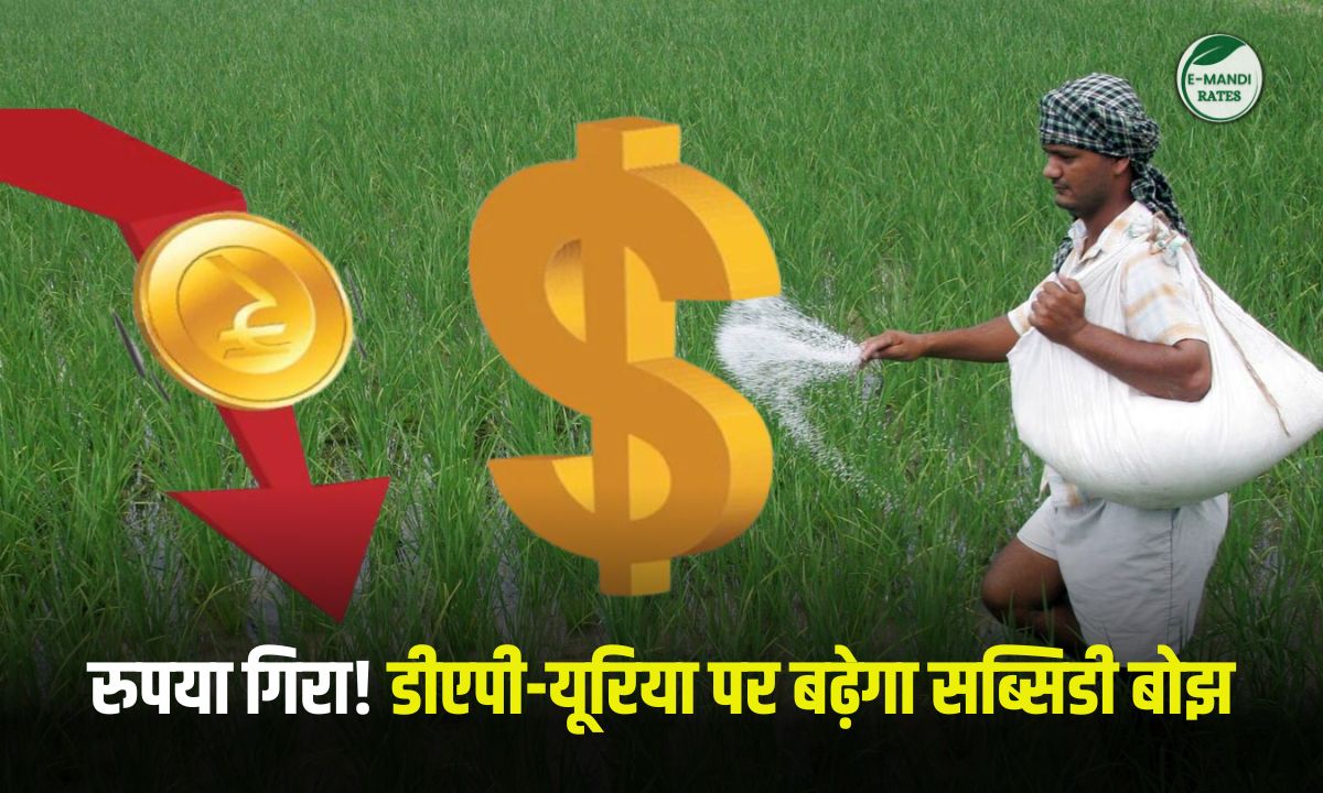 Rupee falls! Subsidy burden on DAP and urea will increase