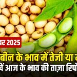 आज के सोयाबीन भाव – 4 दिसंबर 2025 | सोयाबीन, प्लांट व तेल के रेट में तेजी या मंदी, देखें ये रिपोर्ट