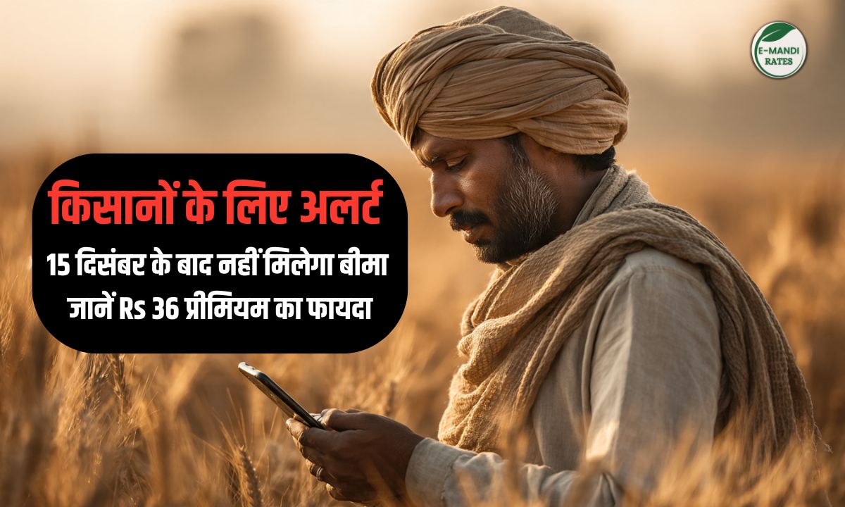 Wheat Crop Insurance