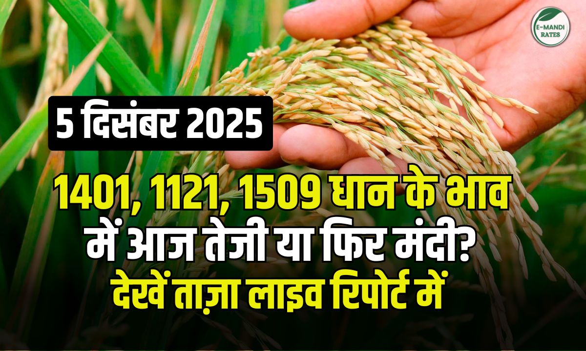 dhan bhav 5 dec 2025