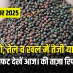 सरसों, तेल और खल में जोरदार तेजी – कई मंडियों में 50 से 100 रुपये तक का उछाल!
