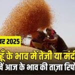 गेहूं, आटा, मैदा, सूजी, रवा, चोकर के भाव में आज तेजी या मंदी | देखें ताजा रेट