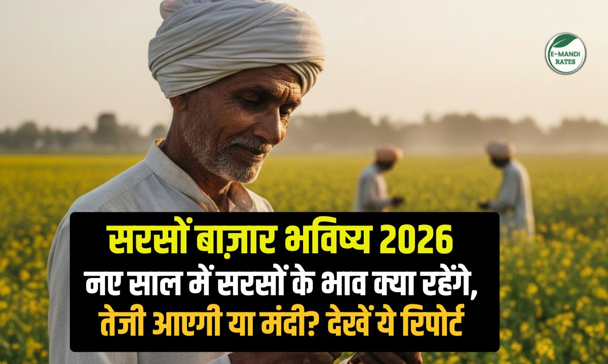 Mustard Forecast 2026