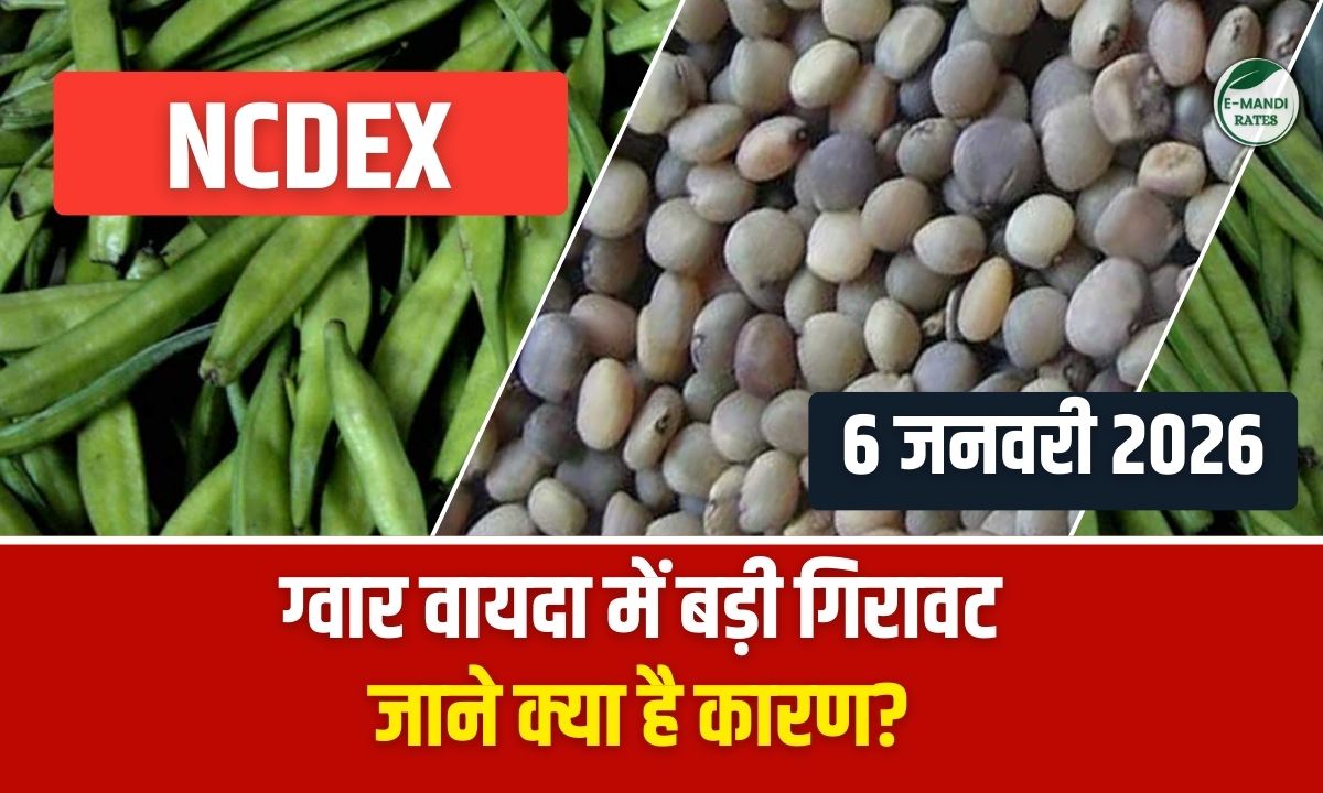 NCDEX Guar Futures