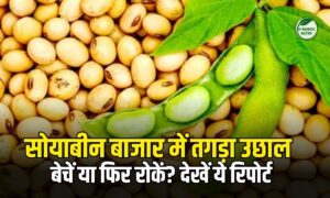 सोयाबीन बाजार में तगड़ा उछाल: ₹5200 तक पहुंचे भाव, बेचें या फिर रोकें? देखें ये रिपोर्ट