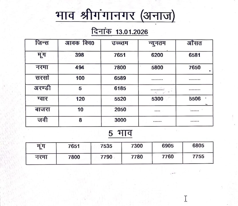 श्री गंगानगर मंडी का भाव 13 जनवरी 2026