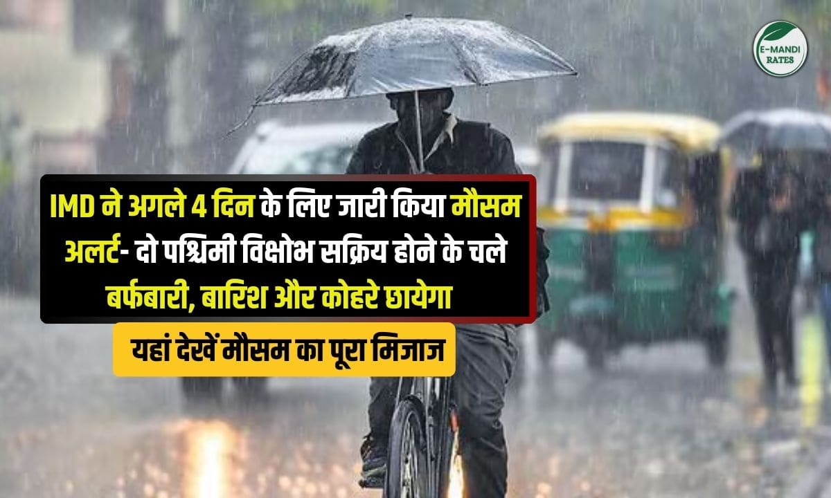 IMD Weather Warning February 8 to 13, 2026