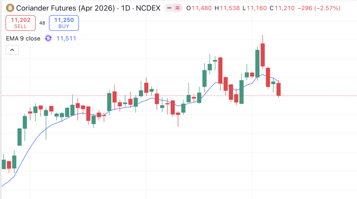 NCDEX Coriander Futures