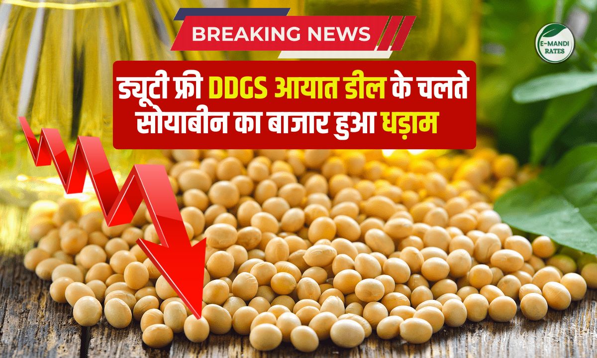 आज का सोयाबीन मंडी भाव 10 फरवरी 2026