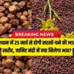 राजस्थान में सरसों और चना की MSP खरीद 25 मार्च से, 15 मार्च से ऑनलाइन रजिस्ट्रेशन, जाने क्या मिलेगा भाव?