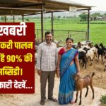 Goat Farming: बकरी पालन पर 90% सब्सिडी, जानें कैसे उठाएं लाभ!