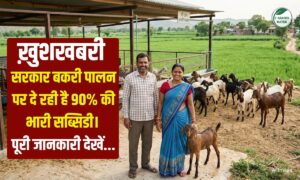 Goat Farming: बकरी पालन पर 90% सब्सिडी, जानें कैसे उठाएं लाभ!