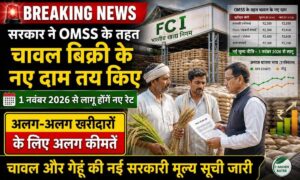 OMSS के तहत सरकार का बड़ा फैसला! 1 नवंबर से महंगे होंगे गेहूं-चावल, जारी हुई नई रेट लिस्ट