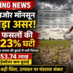 मानसून की सुस्ती से खेती पर संकट! खरीफ सीजन में धान, दाल, तिलहन और कपास की बुवाई में भारी गिरावट
