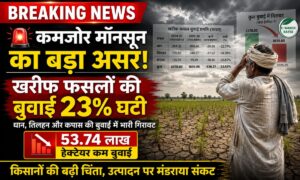 मानसून की सुस्ती से खेती पर संकट! खरीफ सीजन में धान, दाल, तिलहन और कपास की बुवाई में भारी गिरावट