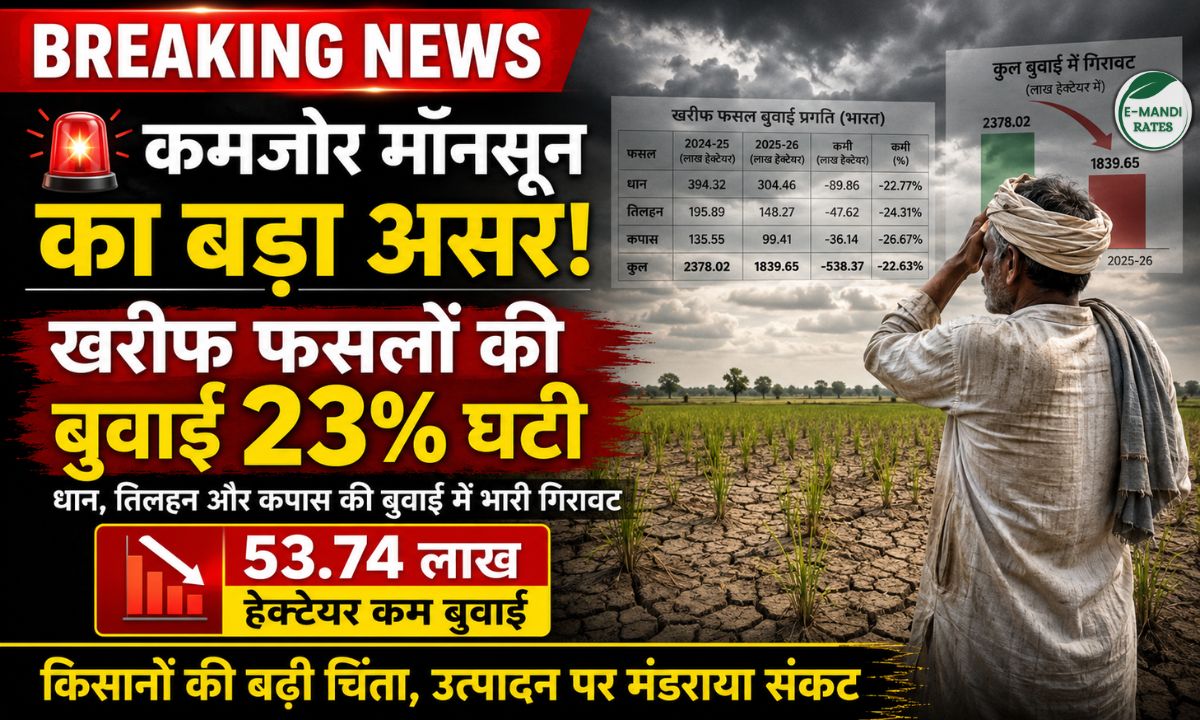 kharif crop sowing down 2026