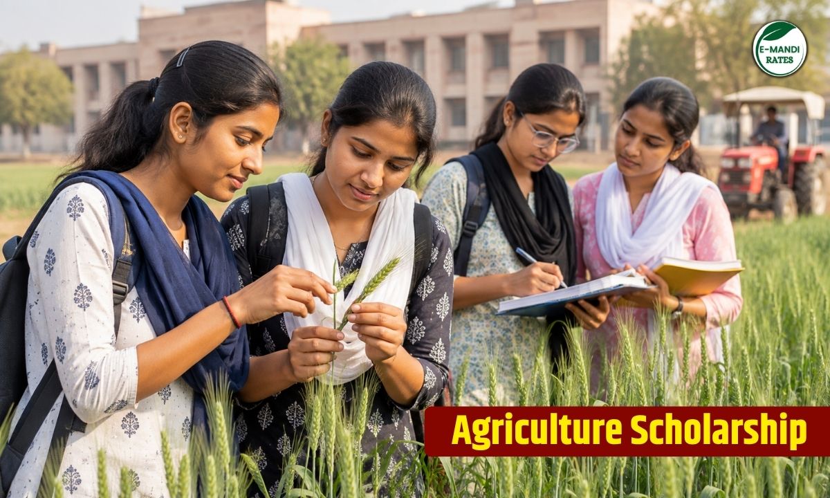 Agriculture Scholarship in Rajasthan