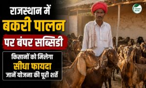राजस्थान में बकरी पालन पर बंपर सब्सिडी, किसानों को मिलेगा सीधा फायदा, जानें योजना की पूरी शर्तें