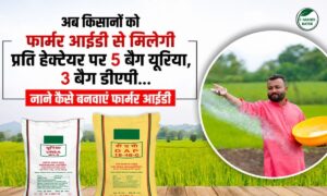 हनुमानगढ़ : किसानों को अब फार्मर आईडी से 5 बैग यूरिया, 3 बैग DAP मिलेगी प्रति हेक्टेयर…