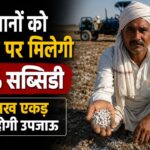 हरियाणा में जिप्सम पर मिलेगी 50% सब्सिडी, 10 लाख एकड़ ज़मीन होगी उपजाऊ