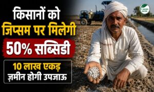 हरियाणा में जिप्सम पर मिलेगी 50% सब्सिडी, 10 लाख एकड़ ज़मीन होगी उपजाऊ