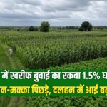 देश में खरीफ बुवाई का रकबा 1.5% घटा, धान-मक्का पिछड़े, दलहन में आई बढ़त