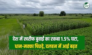 देश में खरीफ बुवाई का रकबा 1.5% घटा, धान-मक्का पिछड़े, दलहन में आई बढ़त