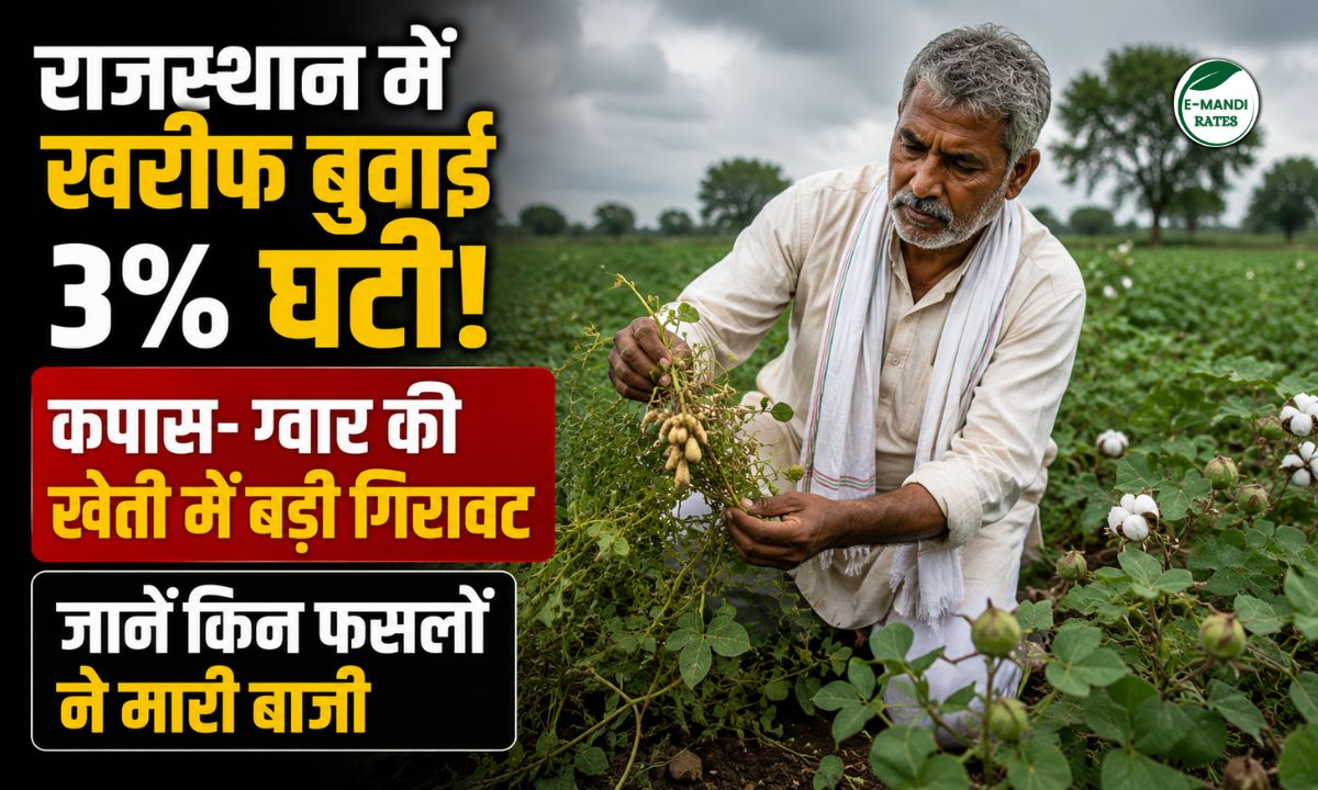 Kharif Sowing Report 2026