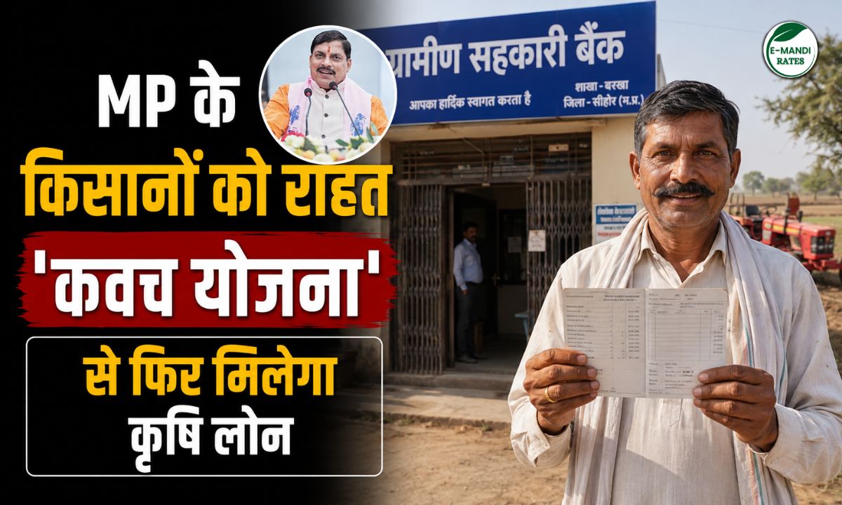 MP Kavach Yojana