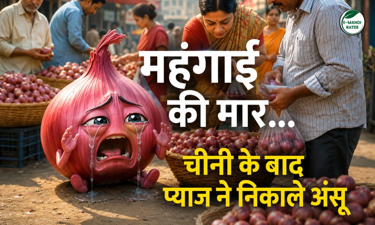 Onion Price Hike
