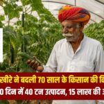 जैविक खीरे ने बदली किसान की किस्मत... 90 दिन में 40 टन उत्पादन, 15 लाख की आय