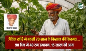 जैविक खीरे ने बदली किसान की किस्मत… 90 दिन में 40 टन उत्पादन, 15 लाख की आय