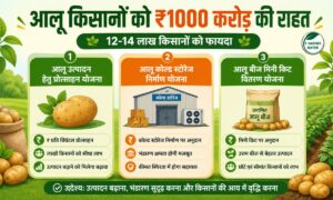 आलू किसानों को बड़ी राहत, भाव गिरने पर मिलेगा अनुदान, जानें पूरी स्कीम