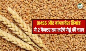 Wheat Price: दिल्ली में गेहूं भाव ₹2900 के पार, जानिए आगे कितनी तेजी आएगी