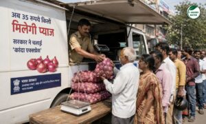 Onion Price: अब 35 रुपये किलो मिलेगी प्याज, नासिक से चली ‘कांदा एक्सप्रेस’… जानिए कहां और कैसे मिलेगी