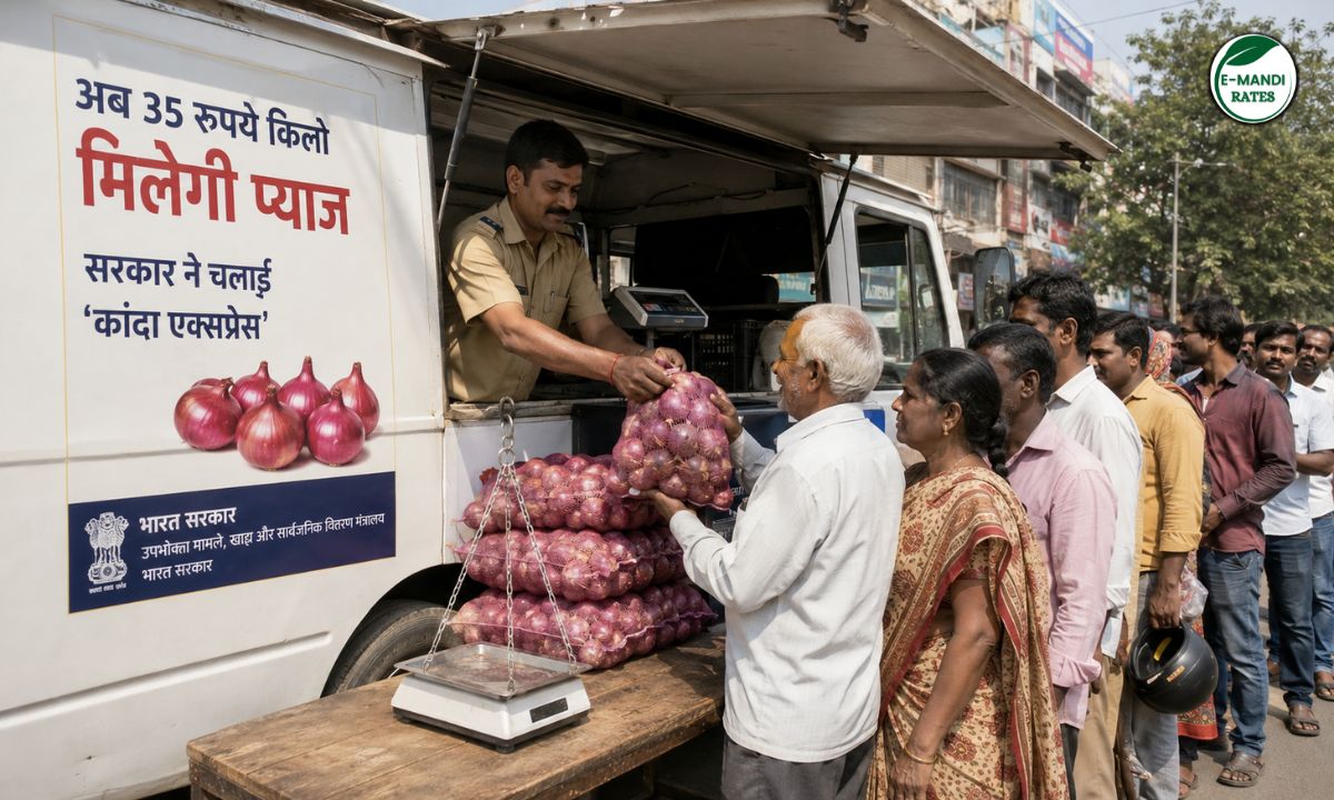 Onion Price