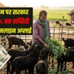 बकरी पालन पर सरकार दे रही 60% तक अनुदान, ऐसे करें ऑनलाइन अप्लाई