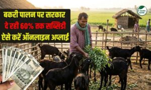 बकरी पालन पर सरकार दे रही 60% तक अनुदान, ऐसे करें ऑनलाइन अप्लाई