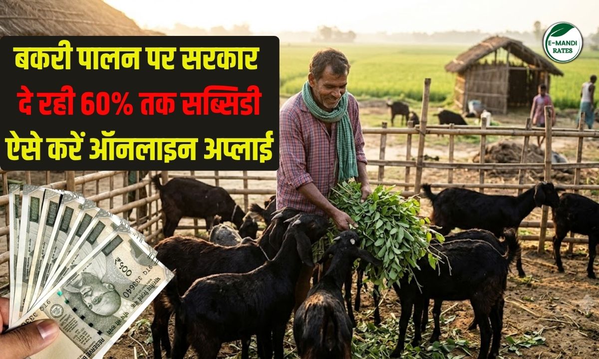 Bihar Bakri Palan Yojana Subsidy