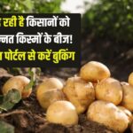 सरकार दे रही है किसानों को आलू के उन्नत किस्मों के बीज! ऑनलाइन पोर्टल से करें बुकिंग