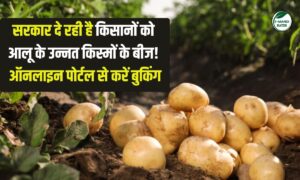 सरकार दे रही है किसानों को आलू के उन्नत किस्मों के बीज! ऑनलाइन पोर्टल से करें बुकिंग