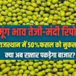 Moong Bhav: राजस्थान में 50% मूंग की फसल खराब होने का खतरा, क्या अब कीमतों में आएगी तेजी? देखें रिपोर्ट