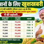 रबी फसलों का MSP बढ़ा... गेहूं में 25, सरसों में 413 और कुसुम में 675 रुपये की बढ़ोतरी