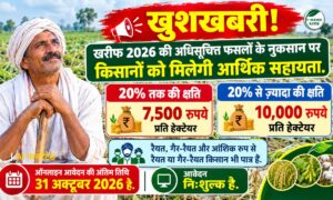 खरीफ फसल नुकसान पर किसानों को ₹20,000 तक की सीधी मदद… जल्दी करें आवेदन