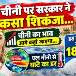 चीनी का भाव आगे कहां जाएगा... एल नीनो से घाटे का डर, इस साल ग्लोबल स्तर पर 18% चढ़े दाम