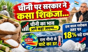 चीनी का भाव आगे कहां जाएगा… एल नीनो से घाटे का डर, इस साल ग्लोबल स्तर पर 18% चढ़े दाम